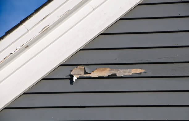 Best Insulated Siding Installation  in Cedar Bluff, AL